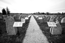 На яновичском еврейском кладбище.