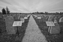 Еврейское кладбище в Яновичах (сентябрь 2020 г.)
