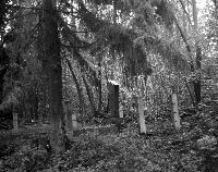 ��� �������� ����� ������, ������������� �� ���������� �����. 1994 �.