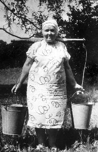 ��������� ������� ���� ������� �������. ���� 1996 �.