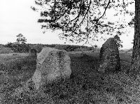 �� ������� ��������� ��������.