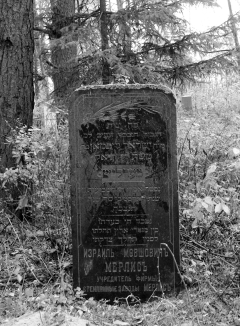 Памятник на могиле И.М. Мерлиса  на Толочинском еврейском кладбище.