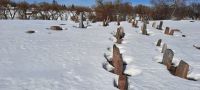 На старинном еврейском кладбище в местечке Колышки Лиозненского района Витебской области. 17 марта 2022 г.