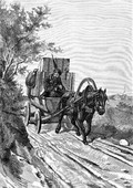 Рисунок Р. Штейна (гравюра Ольшевского) «Еврей-коробейник Витебской губернии». 