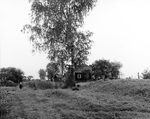  Колышки ранней осенью, 2001 г.