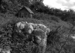Остаток фундамента дома, в котором жили Шнеерсоны с 1813 по 1915 гг.