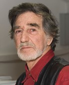 Владимир Райберг.