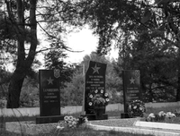 Сейчас на месте школы – небольшой прямоугольный холм. На нём стоят три памятника – один всем погибшим жителям Домановичей и два – партизанам.