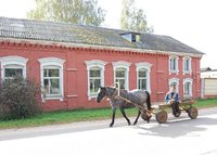 Интервью с Петром Боговичем.