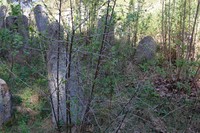 Свирь. Еврейское кладбище. Фото Аркадия Шульмана.