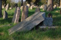 Долгиново. Еврейское кладбище.