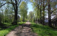 Бывшая Еврейская, а ныне Днепровская улица.