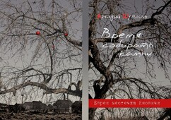 Обложка книги «Время собирать камни. Евреи местечка Яновичи».