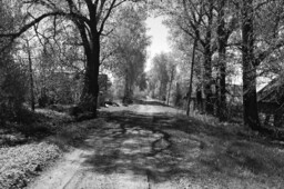  Фото Аркадия Шульмана.
