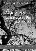 Обложка книги Аркадия Шульмана "Время собирать камни".