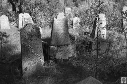 Свирь. Старинное еврейское кладбище. Фото Аркадия Шульмана.