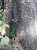 В таком виде удалось найти мацеву.