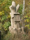 Дерево с обрубленными ветвями.