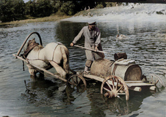 Выставочная работа Водовоз, автор Залман Герман.