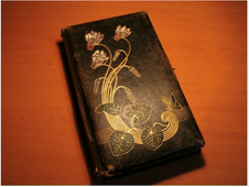 Альбом семьи Садович. Фото из коллекции Нерчинского краеведческого музея.