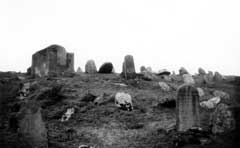 ������ ��������� �������� � �����������