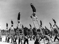 ���� ����� �������