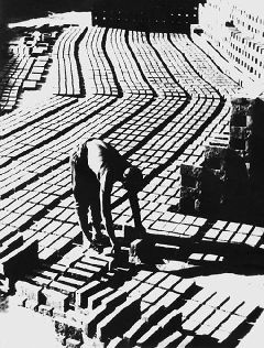 ���� ����� �������