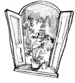 ������� ������ ������