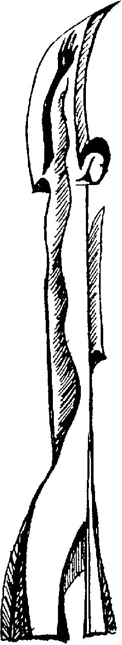 ������� ������� ��������