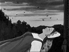 ���� �� ����������� ���������-������������ ���� ��������.