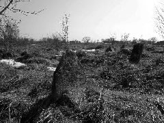 ��������� �������� � �����������