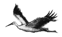 ������� ������� ����������