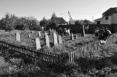 ����� ���������������� ���������� �������� ��������.